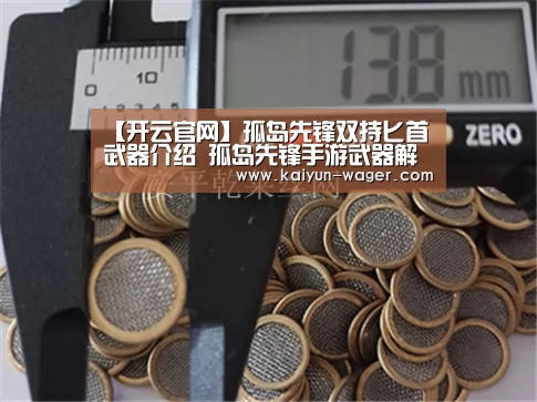 【开云官网】孤岛先锋双持匕首武器介绍 孤